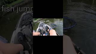 Lucky catch fish jumps off into net bassfishing kayakfishing fishing lucky [upl. by Gwen674]