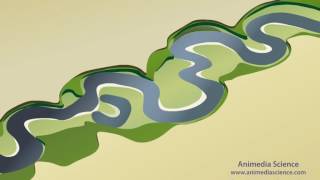 Stream Meanders and Floodplain Formation [upl. by Nic887]