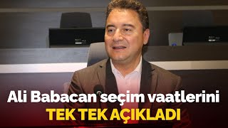 Ali Babacan seçim vaatlerini tek tek açıkladı Alkışlar dinmedi [upl. by Anialahs]