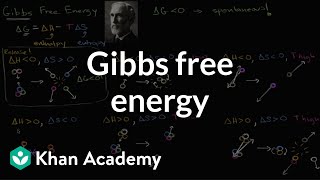 Gibbs free energy and spontaneous reactions  Biology  Khan Academy [upl. by Assylem]