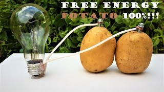 Free Energy Light Bulbs  220v using Potato [upl. by Hinch]