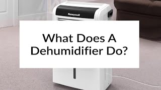 What Does A Dehumidifier Do  Sylvane [upl. by Winograd]