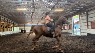 Ride axle with me  a pro show horse 😨  Cantering for the first time on a new horse Raw [upl. by Finbar]