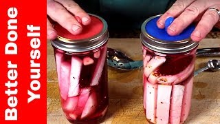 Fermenting Pink Turnips with the Masontops Fermentation Kit [upl. by Watanabe]