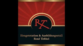 Hengstschau Vechta 2018 [upl. by Tully]