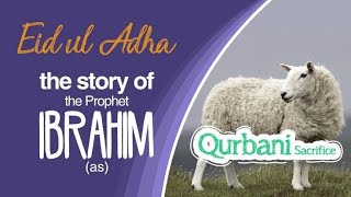 Eid Al Adha storytelling  Story of Prophet Ibrahim and his Sacrifice [upl. by Merari]