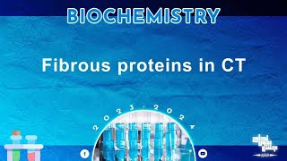 L2 Fibrous proteins in connective tissues Biochemistry [upl. by Celio121]