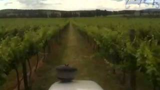 Grapevine spraying at Canowindra NSW Australia [upl. by Ishii]