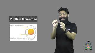 quotVitelline Membranequot  Indian Sign Language Tutorial  How to Sign [upl. by Kawai]