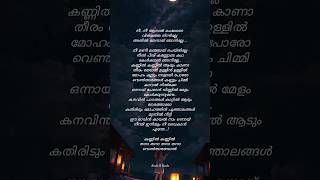 🎶Kannil Kannil song Lyrics💞🎶Nenjil Puncher album song lyrics nenjilpuncher lyrics malayalamlyrics [upl. by Ahsetra]