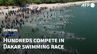 Hundreds compete in Senegal sea swimming race  AFP [upl. by Cindy]