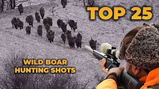 TOP 25 WILD BOAR HUNTING SHOTS [upl. by Jermyn744]