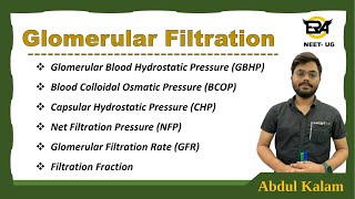 GBHP  BCOP  CHP  NHP  Filtration fraction  GFR  Glomerular filtration Excretion NEET [upl. by Anilram]