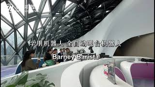 Robot Cafe Barrista in Chengdu China [upl. by Ear]