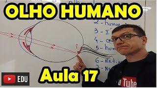 COMO FUNCIONA O OLHO HUMANO Óptica da VISÃO  AULA 17  Prof BOARO [upl. by Nylemaj749]