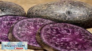 Potato MidSeason Purple Majesty Organic rounds – Seeds Review [upl. by Ahseat]