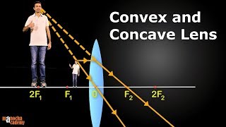 Convex and Concave Lenses [upl. by Whitaker]