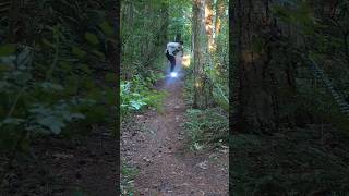 Onewheel PintX downhilll Forest trail pump section [upl. by Mccomb734]