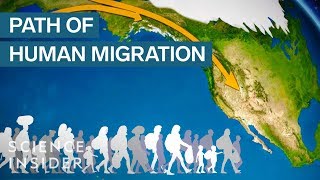 Map Shows How Humans Migrated Across The Globe [upl. by Semele]