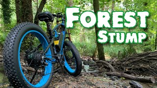 E Bikeing in the forest XF900 [upl. by Byrd]