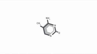 DNA methylation analysis by multiplexed reduced representation bisulfite sequencing RRBS [upl. by Hayman195]