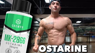 Is Ostarine MK2866 Worth It  SARMs [upl. by Aikit]