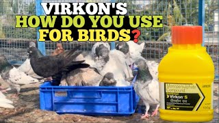 VIRKON S HOW DO YOU USE HOW DO YOU USE VIRKON S FOR BIRDSsoumanpigeonlover [upl. by Leummas]