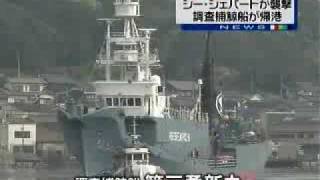 Japanese whaling vessel which were attacked by Sea Shepherd returns harbor [upl. by Annaya77]