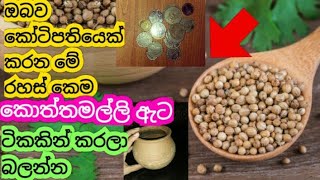 ඔබව පෝසතෙක් කරන කොත්තමල්ලි ඇට රහස කරලම බලන්න සල්ලි කෝටි ගණන් ලැබේවිobawa posathek karana wasthu [upl. by Teemus]