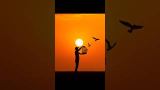 Sunset Photo Editing  Perfect Photo Ideas 💡shorts photoediting tutorial [upl. by Annoynek306]