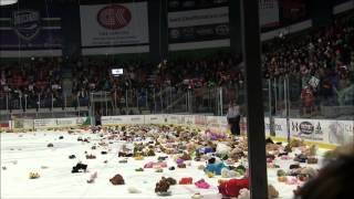 2013 Utica College Teddy Bear Toss [upl. by Acinimod995]