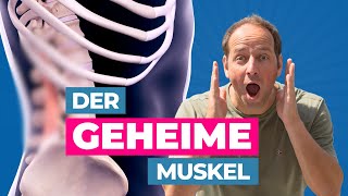 Diesen Muskel solltest du dehnen 🤩 Der Quadratus Lumborum [upl. by Ennayllek418]