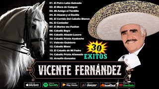 🔥 MIX VICENTE FERNANDEZ 🔥 CORRIDOS DE CABALLOS 🐴 30 EXITOS MEJORES CANCIONES MIX 🔥 [upl. by Hujsak]