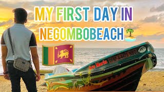 My First Day In Srilanka 🇱🇰 Vlog 3  Negombo Beach 🏝️  Catamaran hotel [upl. by Lazor]