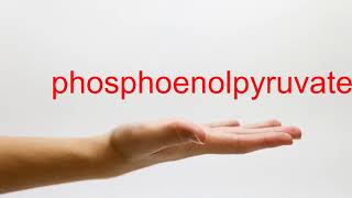 How to Pronounce phosphoenolpyruvate  American English [upl. by Inahc656]