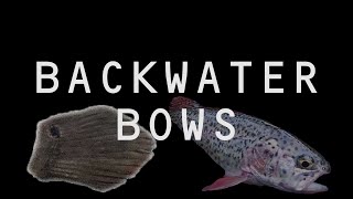 BACKWATER BOWS Trailer  Fly Fishing in Iowa for Rainbow Trout Bowfin and other species [upl. by Atinaujnas]