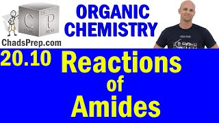 2010 Synthesis and Reactions of Amides  Organic Chemistry [upl. by Aikram]