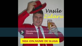 VASILE ZIDARUNEA IONNUME DE SLUGAPARODIE [upl. by Meean]