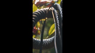 Secrets of Flexzilla Garden Hose Cleaning [upl. by Wharton]