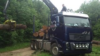 Grumier VOLVO FH 750 Container [upl. by Atiluj]