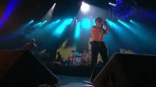 Red Hot Chili Peppers  Live At EWerk KölnGermany 2011 Full Concert [upl. by Calypso]