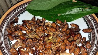 How to cook silkworm curry dry and crispy A Lotha Naga touch curry food cooking foodie [upl. by Ratep86]