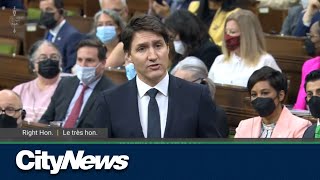 Trudeau slammed for invoking Emergencies Act to stop protests [upl. by Phenica520]