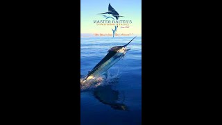 Master Baiter´s Sportfishing with Clients and Their Day on the Water [upl. by Cacilie]