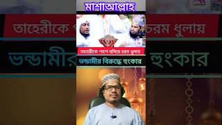 তাহেরীকে পাশে বসিয়ে ভন্ডদের উচিত জবাব  মাওলানা উসমান গণি সালেহী  তাহেরী ওয়াজ [upl. by Nance]