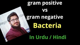 gram positive vs gram negative bacteria comparison  in Urdu hinidi [upl. by Eirojam]