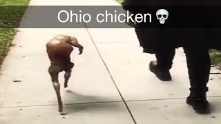 Ohio Chicken 💀 [upl. by Asenev]