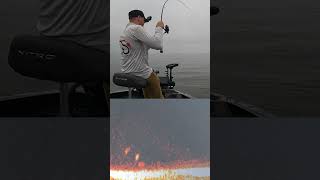 Sharpshooting Walleyes Like a PRO fishing walleye livescope [upl. by Floeter]