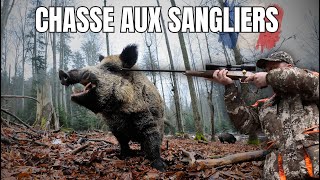 Chasse aux sangliers  Jour de battue 4K [upl. by Anierdna]