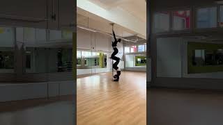 Pole Trick Tutorial Double ZigZag [upl. by Aleit]